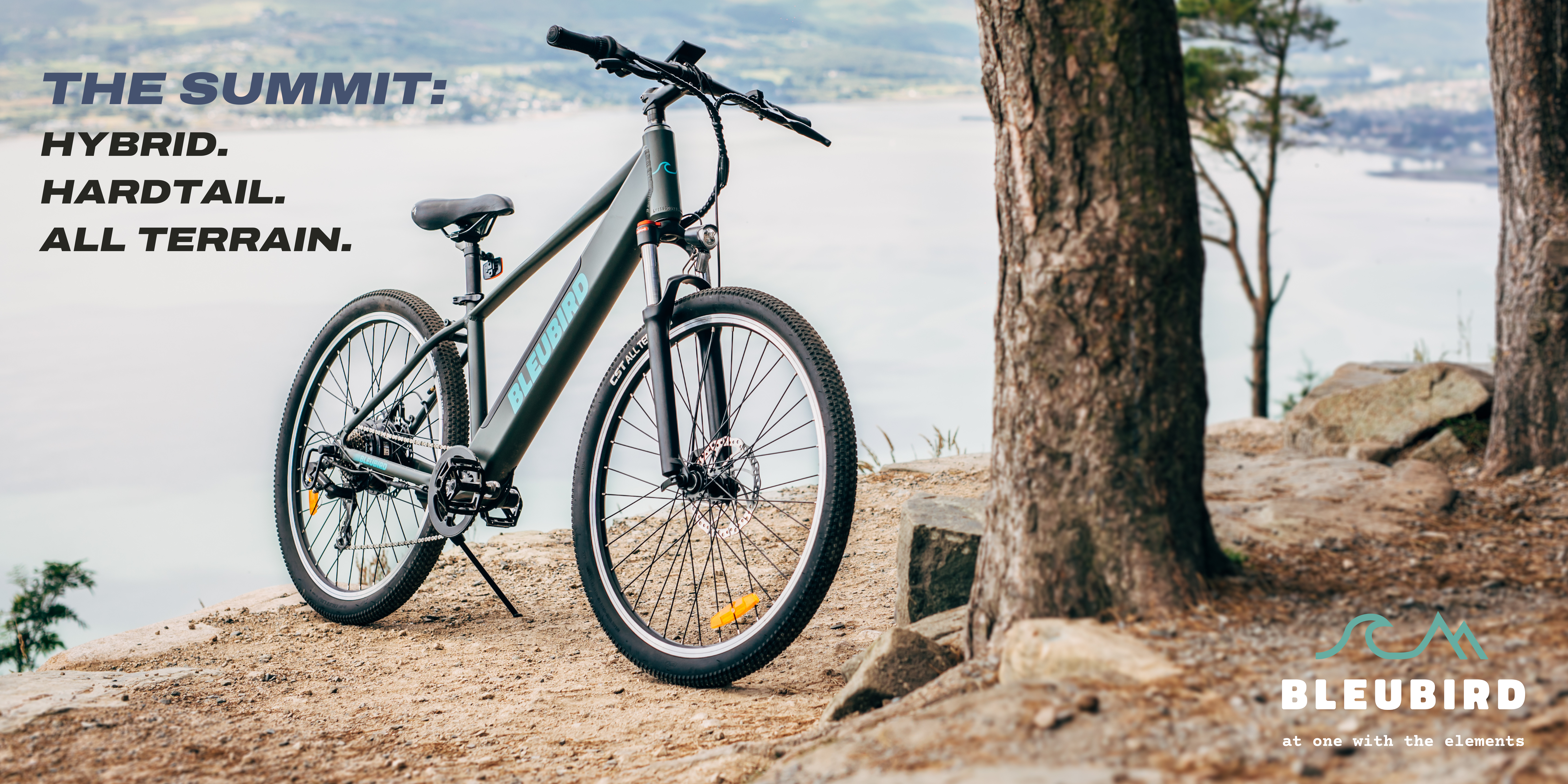 Electric bike try before you buy deals